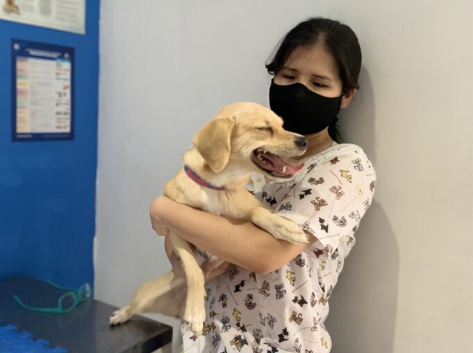 Marcas Nikkei: Pett Inn Veterinaria