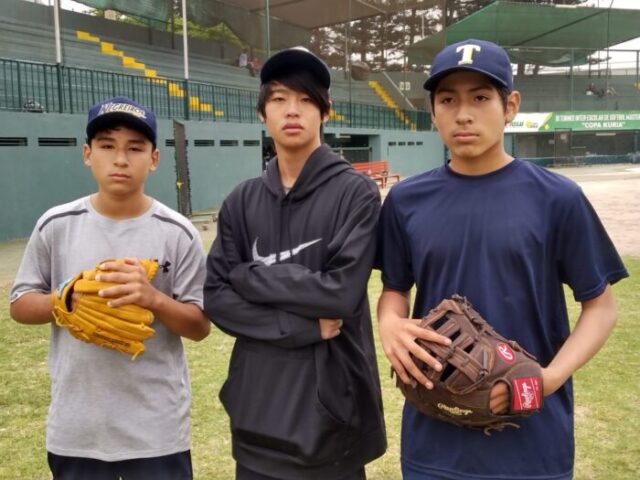 beisbol ok