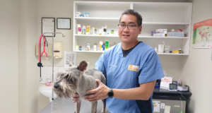 Genki Pets: “Desde hace 10 años ha comenzado a cambiar la forma de criar a las mascotas”