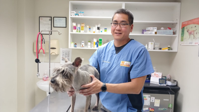 Genki Pets: “Desde hace 10 años ha comenzado a cambiar la forma de criar a las mascotas”