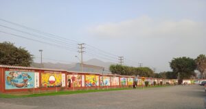 Asociación Okinawense del Perú: La unión Ate la fuerza, Roger Gonzales Araki