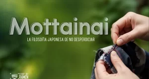 MOTTAINAI: Aprender a no dejar pasar lo valioso